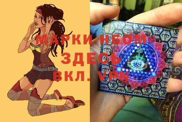 прущие грибы Вязники