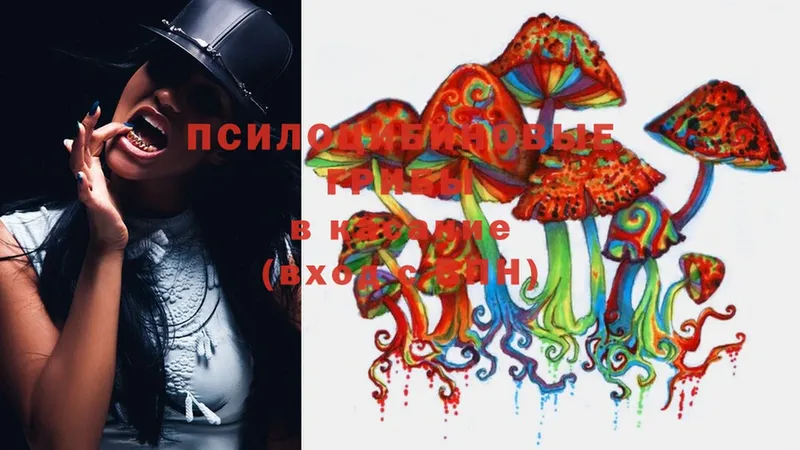 магазин    Липки  Галлюциногенные грибы Psilocybe 